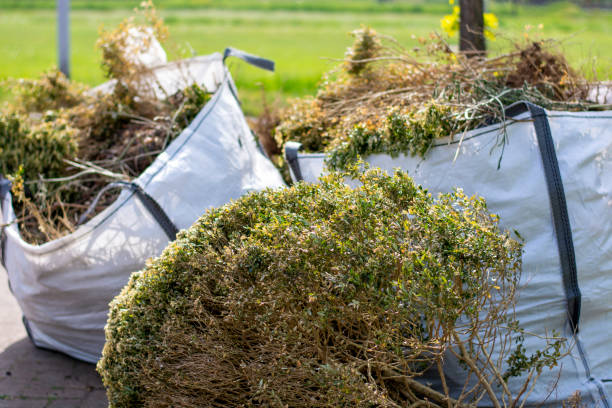 Best Yard Waste Removal  in Doctor Phillips, FL